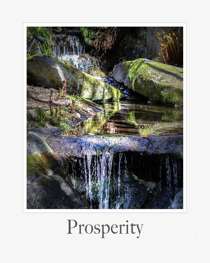 Waterfall Photograph - Prosperity by D Lee