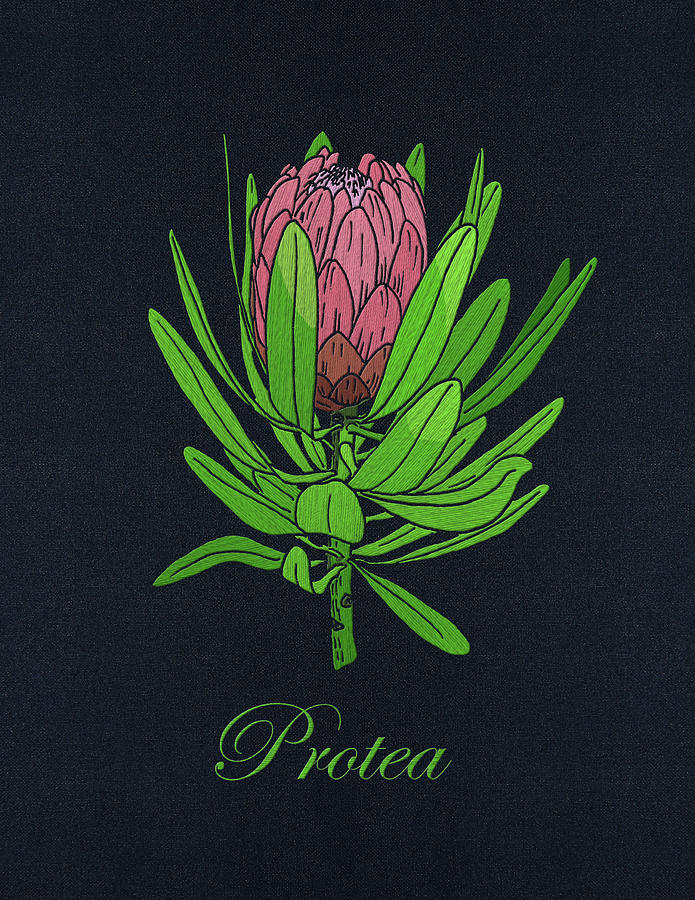 Protea Embroidery With Text Mixed Media