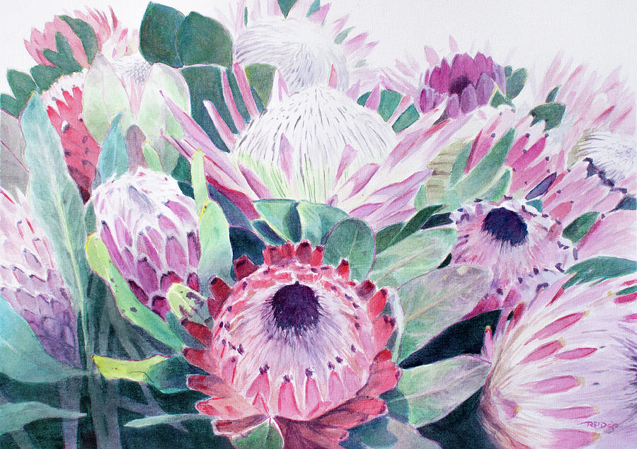 Protea Pinks Painting by Christopher Reid