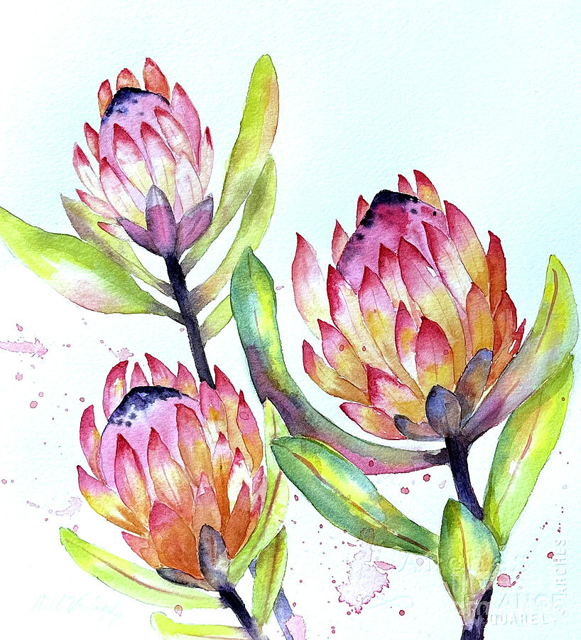 Proteas Painting