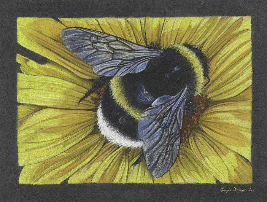 Protect Pollinators Pastel by Twyla Francois