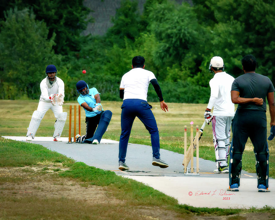 Protect The Wicket Photograph by Ed Peterson Protect The Wicket Photograph by Ed Peterson