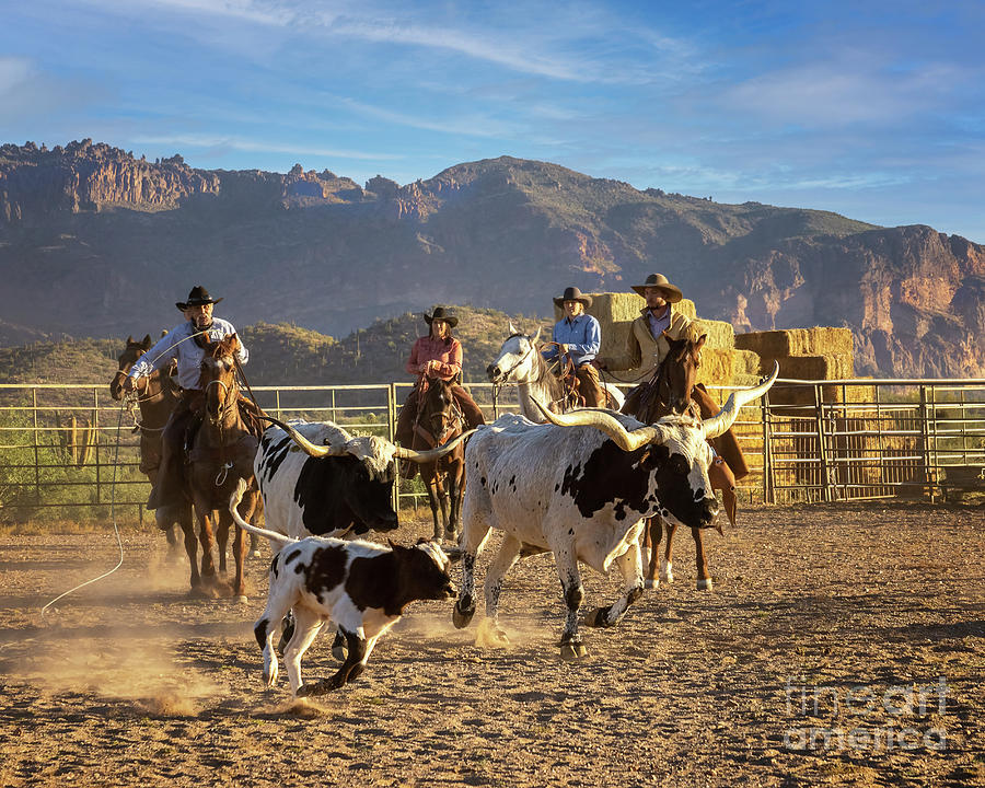 Roping Photograph - Protecting Baby by Priscilla Burgers