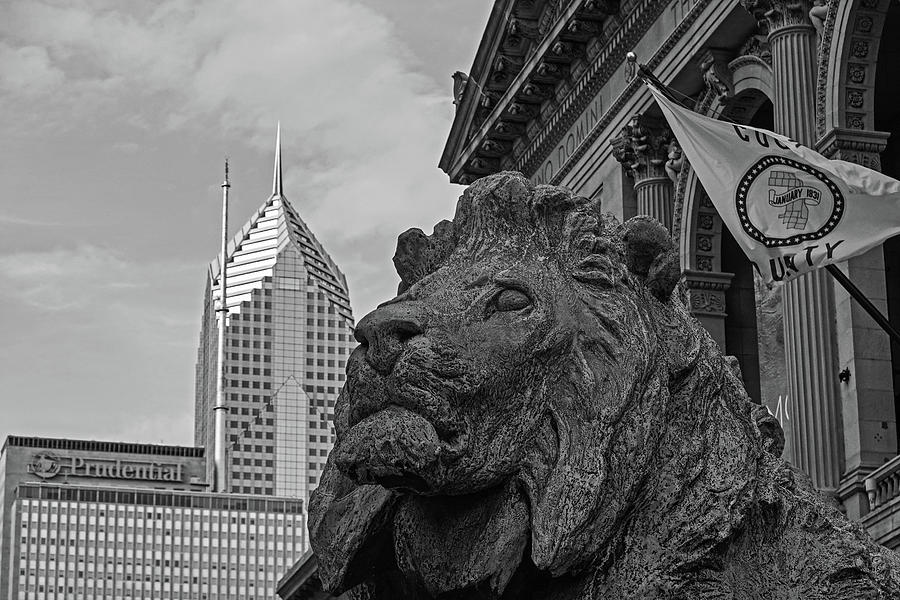 Protecting Chicago Lion Statue Chicago Illinois Chicago Art Institute Black and White Photograph by Toby McGuire