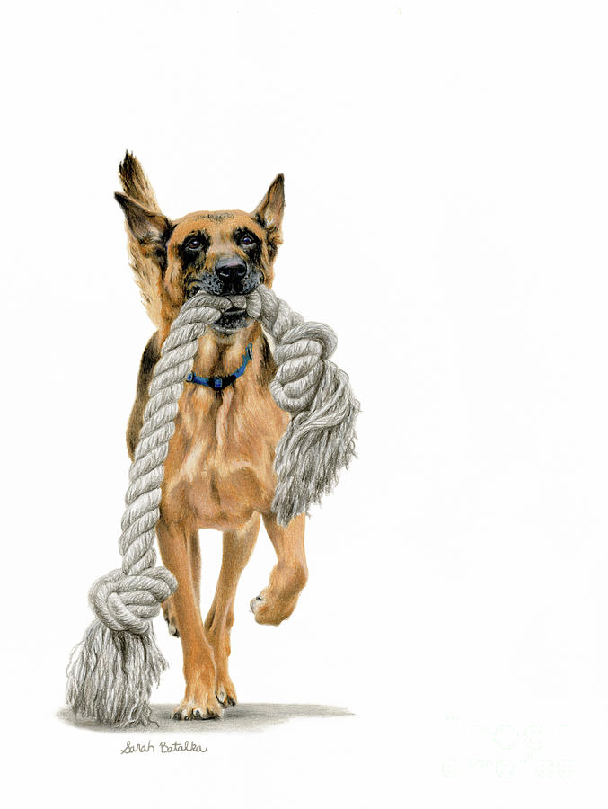 Dogs Painting - Proud Dog by Sarah Batalka Dogs Painting - Proud Dog by Sarah Batalka