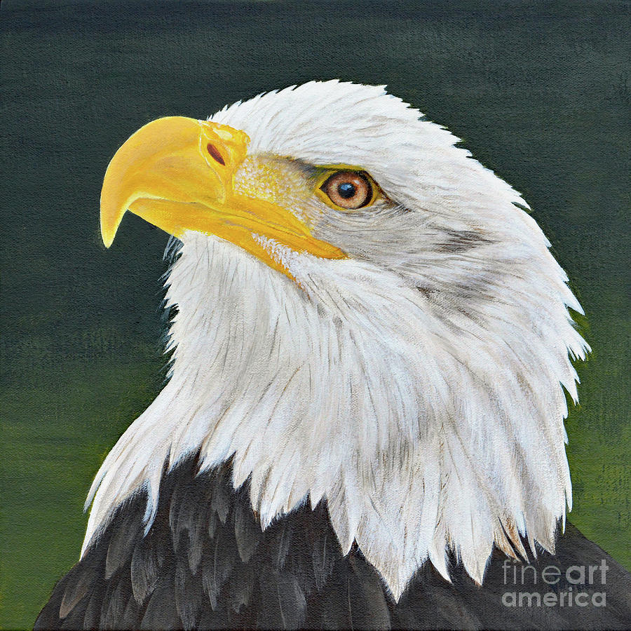Proud Eagle Painting by Jimmie Bartlett