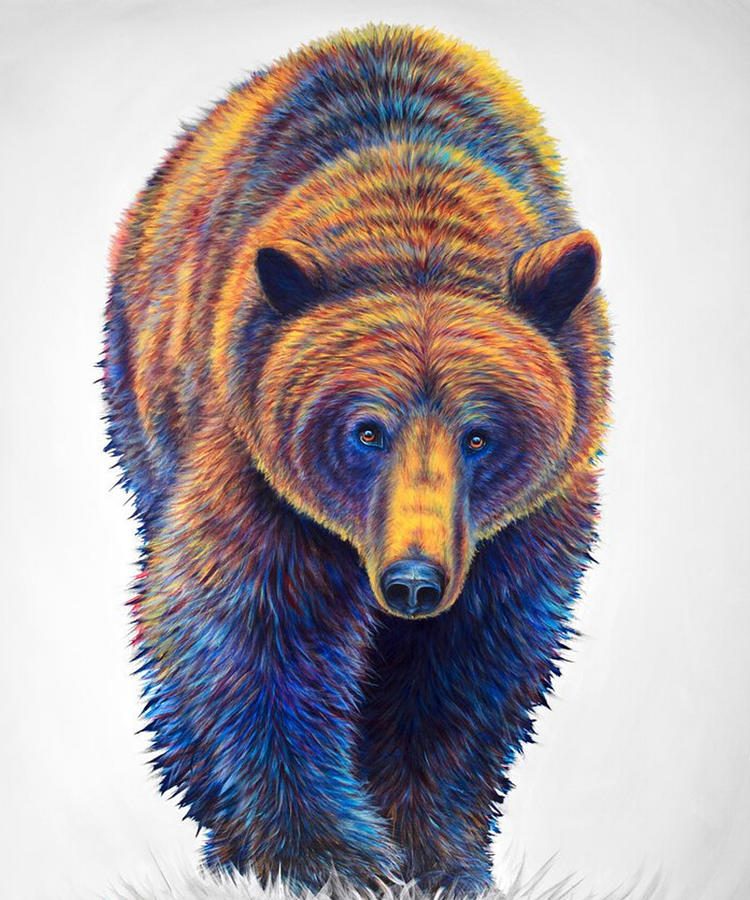 Proud Grizzly Mixed Media by Beautiful Nature Prints