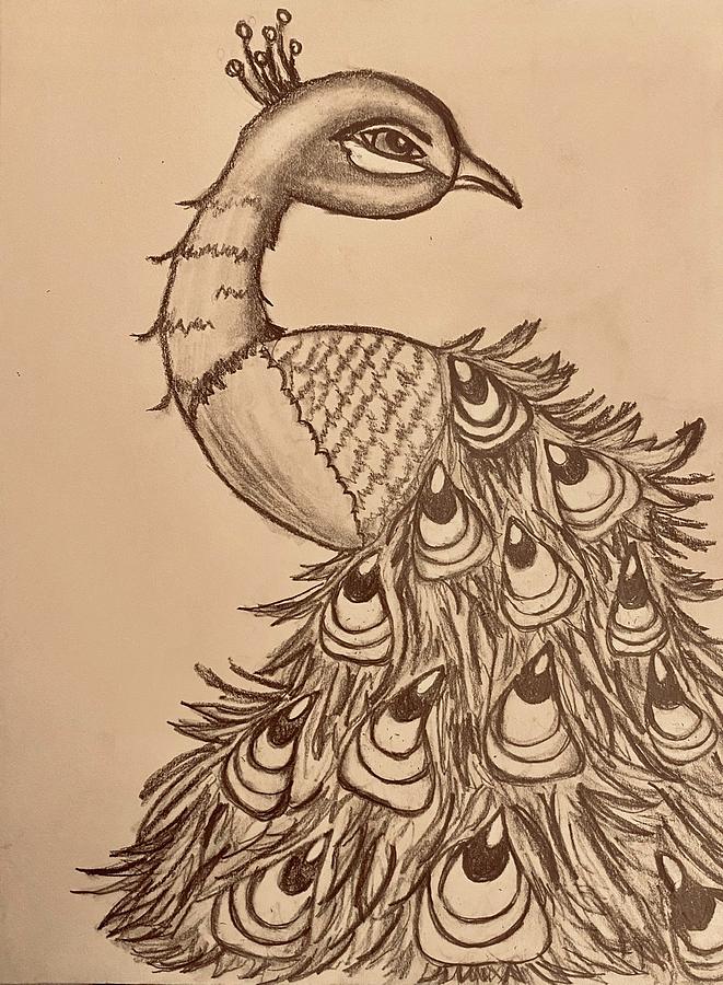 How To Draw Peacock  Drawing Of Peacock Bird HD Png Download   Transparent Png Image  PNGitem