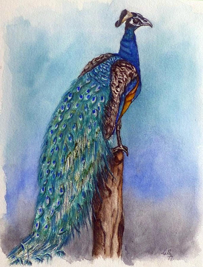 Proud Peacock Painting by Kelly Mills