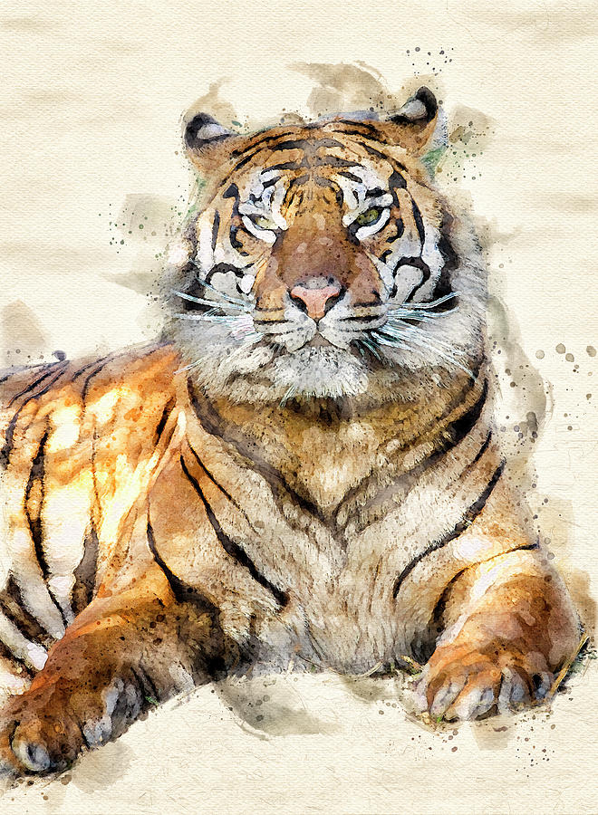 Proud Tiger Digital Art by Darren Wilkes - Fine Art America