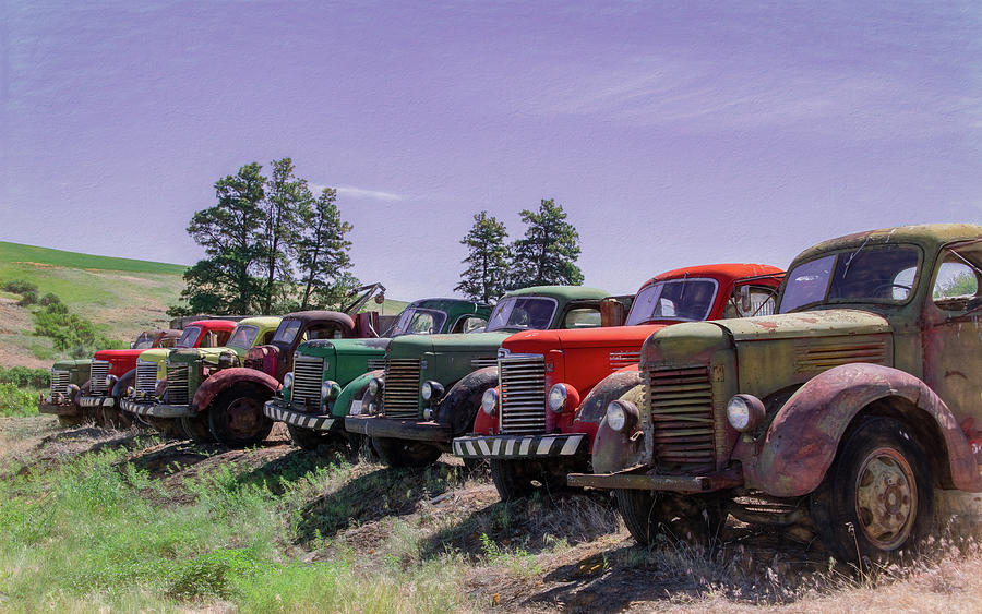 Proudly Retired, A Collection of Farm Trucks in The Palouse Photograph by Marcy Wielfaert