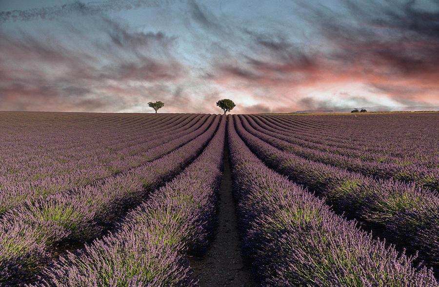 Provence landscape Photograph by Pietro Ebner