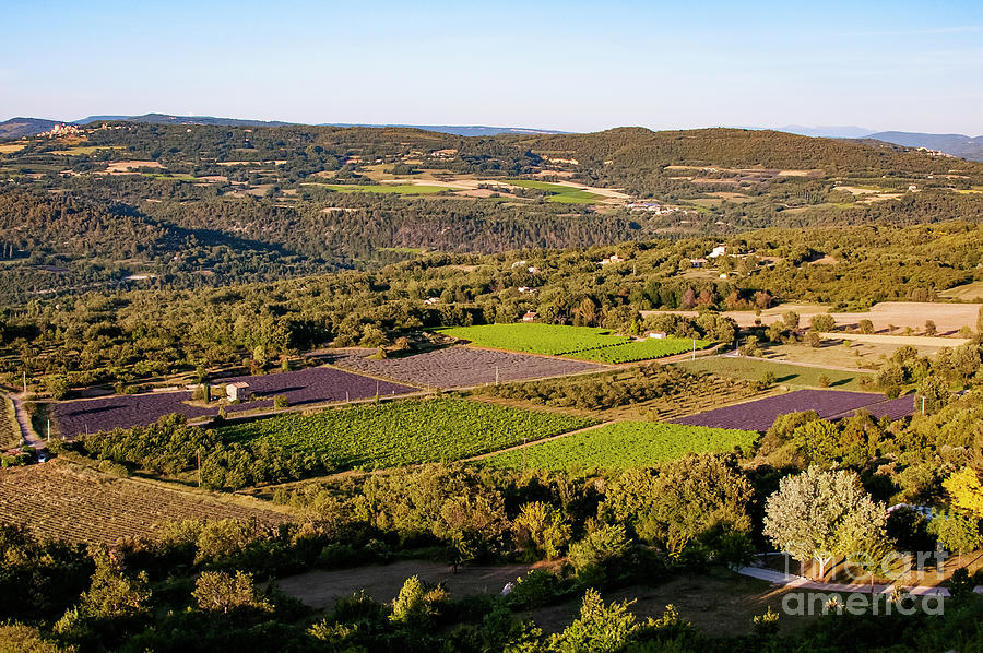 Provence Landscape with Lavender Farms Photograph by Bob Phillips