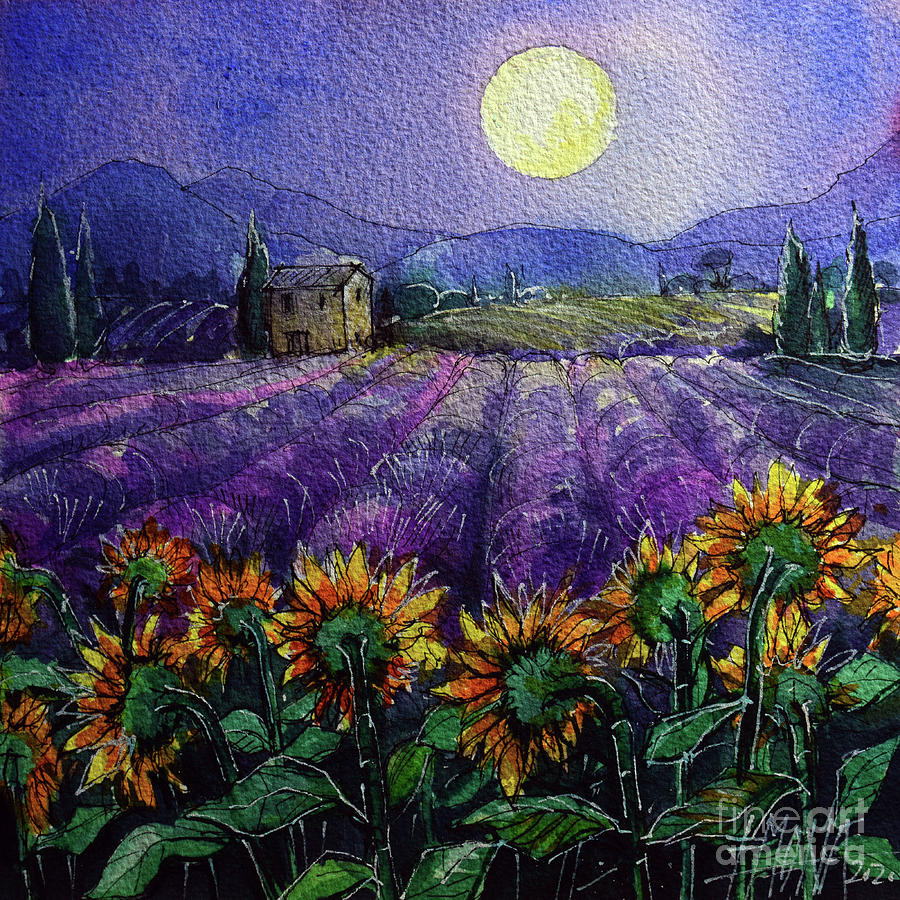 PROVENCE NIGHT - Sunflowers and lavender fields watercolor painting Mona Edulesco Painting by Mona Edulesco