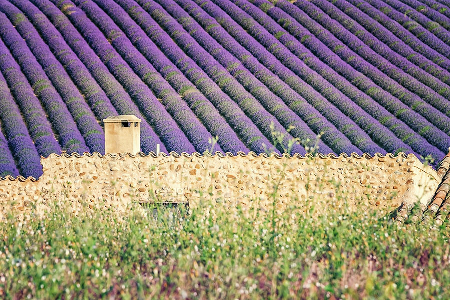 Provence Vibes Photograph