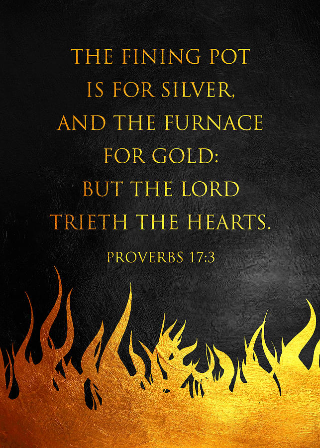 Proverbs 17 3 Bible Verse Wall Art Digital Art by Bible Verse - Fine ...