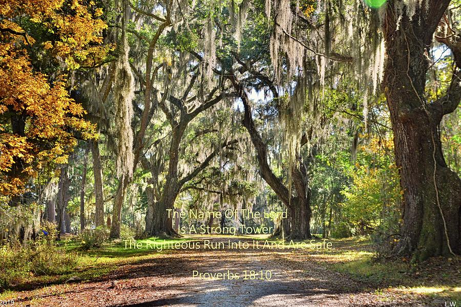 Proverbs 18 10 The Entrance To Old House Plantation Beaufort South Carolina Photograph by Lisa Wooten