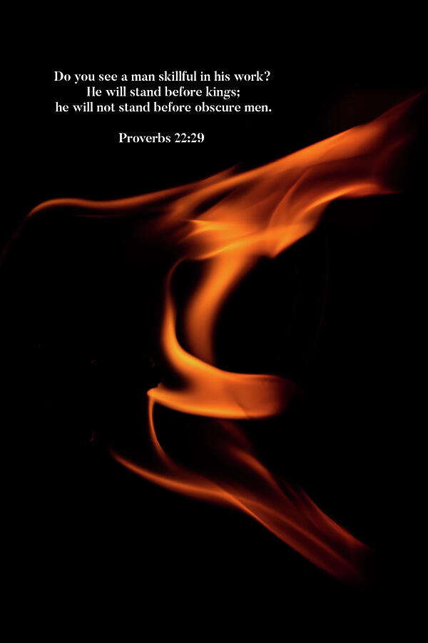 Proverbs 22 29 Digital Art by Michael Wright - Fine Art America