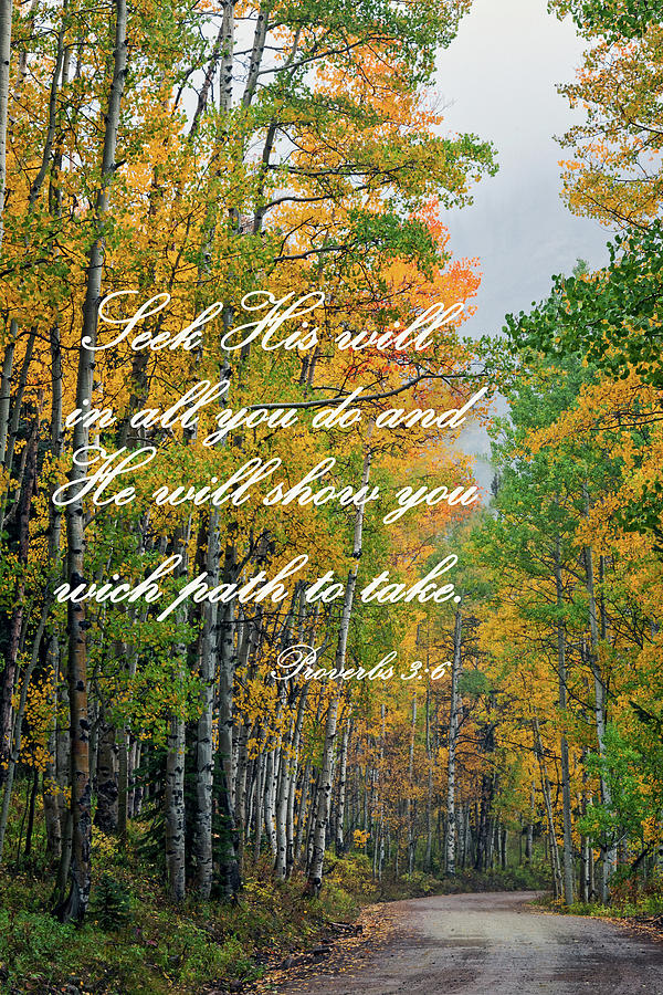 Proverbs 3 6 Scripture And Picture Photograph