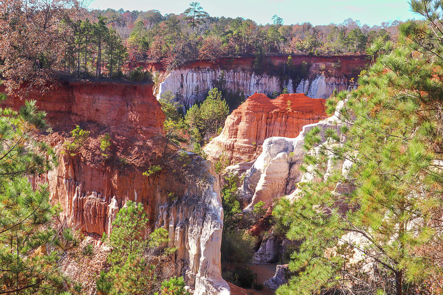 Providence Canyon Across Photograph by Ed Williams