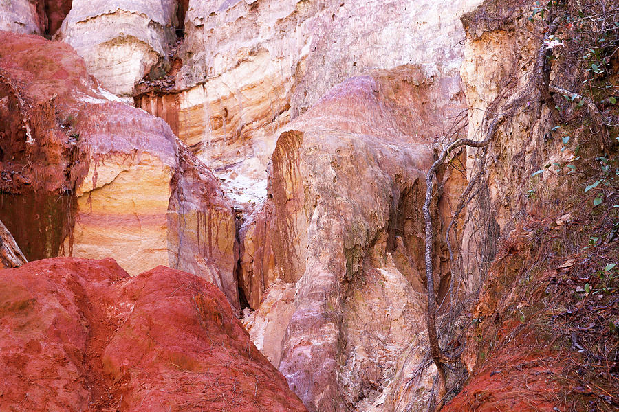 Providence Canyon Color Samples Photograph by Ed Williams