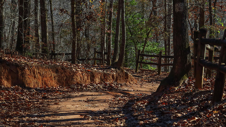 Providence Canyon Hiking Look Photograph by Ed Williams