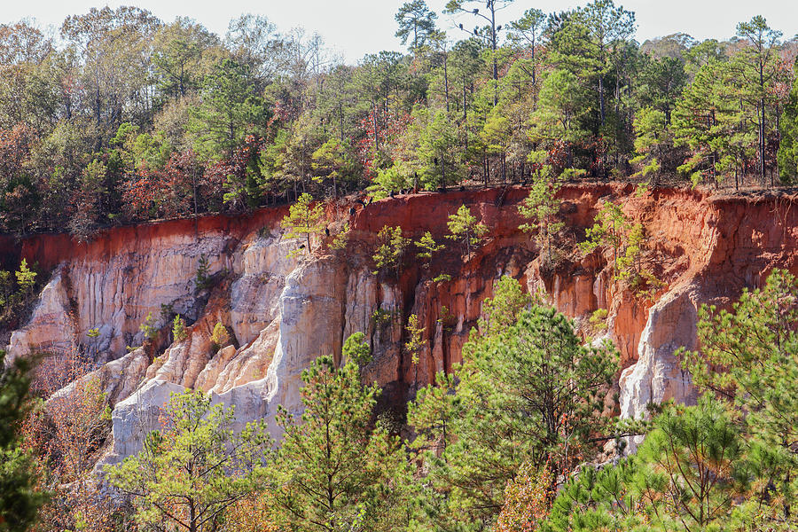 Providence Canyon Wall Stare Photograph by Ed Williams