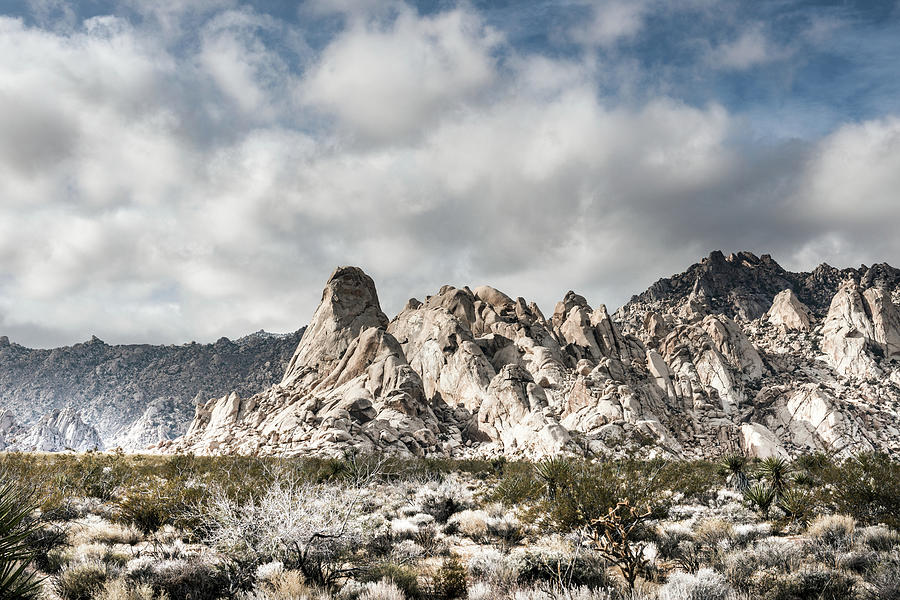 Desert Photograph - Providence Mountains Mojave National Preserve California by Carol Highsmith