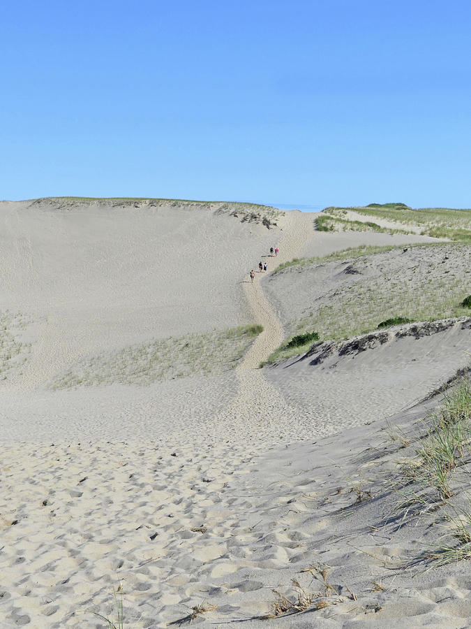 Province Lands Sand Dunes Photograph by Sharon Williams Eng