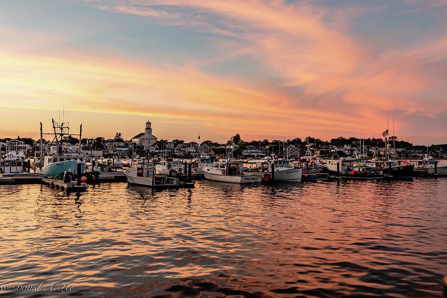 Provincetown Harbor Photograph by David Lee