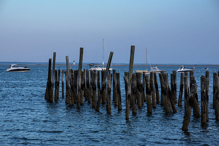 Provincetown Harbor pilings and Long Point Lighthouse Station Photograph by Toby McGuire