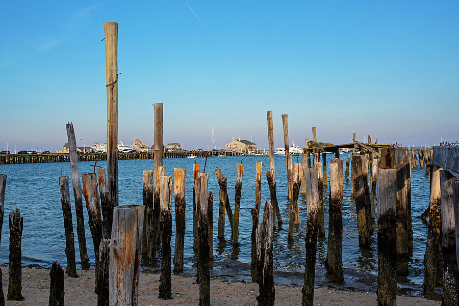Provincetown Harbor pilings Blue Sky Photograph by Toby McGuire