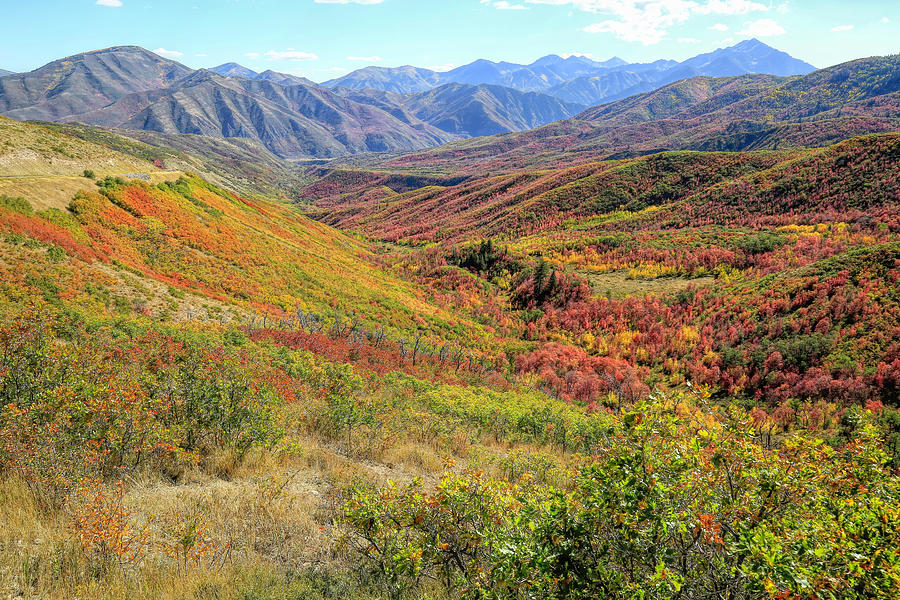 Provo Canyon Autumn View Photograph by Donna Kennedy