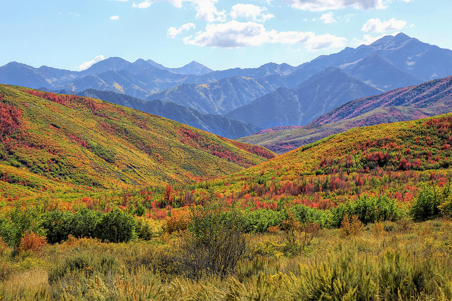 Provo Canyon Fall Color Photograph by Donna Kennedy