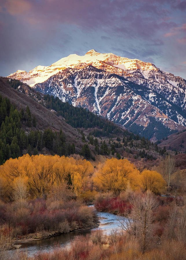 Provo Photograph - Provo Canyon Spring Willows by Wasatch Light
