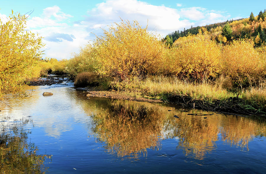 Provo River Reflections 2 Photograph by Dawn Richards