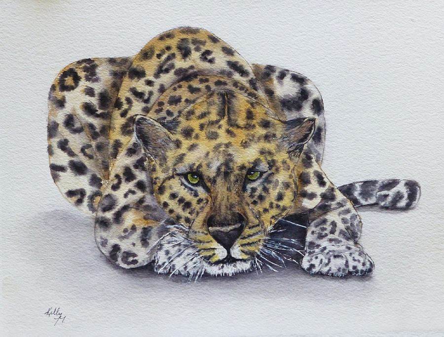 Prowling Leopard Painting by Kelly Mills
