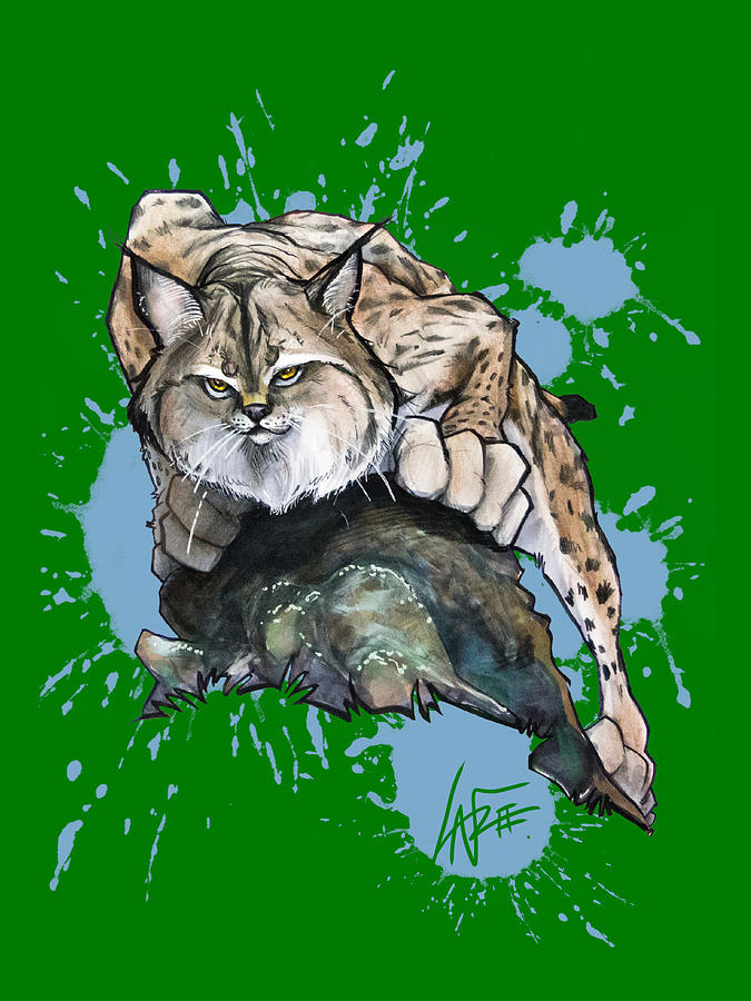 Prowling Lynx Drawing by John LaFree