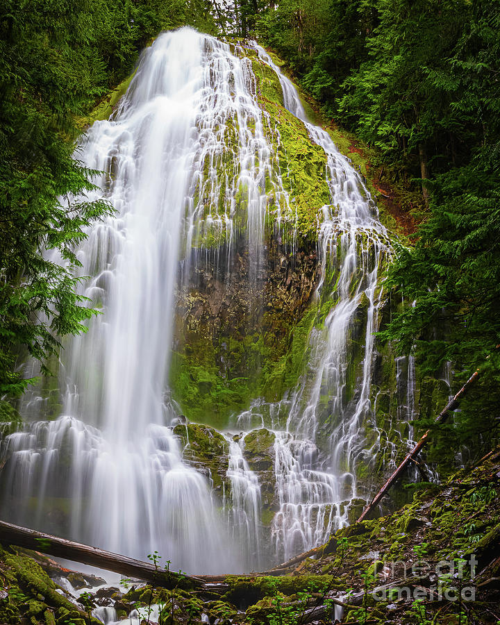 Proxy Falls, Oregon Photograph