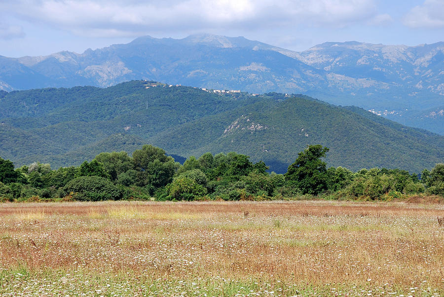 Prunelli di Fiumorbu, Corsica Photograph by BestTravelPhotography