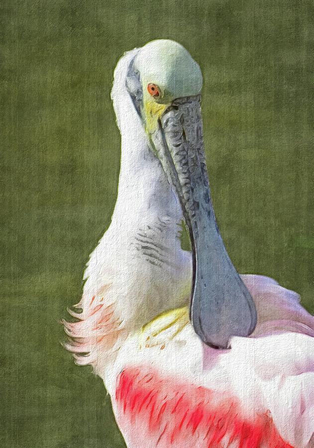 Pruning Spoonbill Painting Photograph by Rebecca Herranen