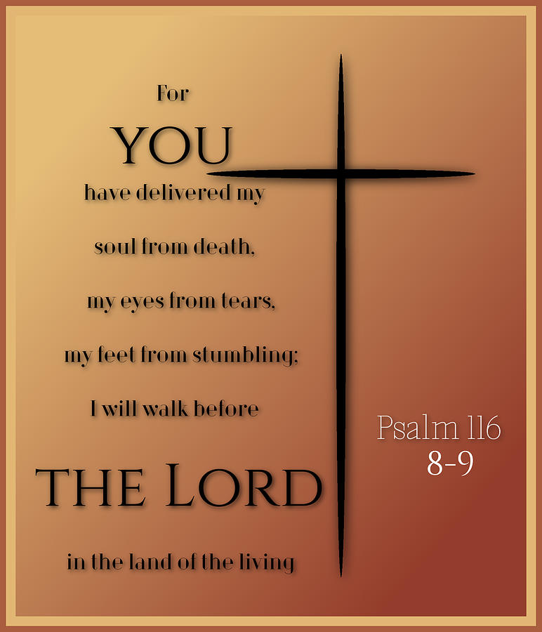 Psalm 118 8 9 Photograph By David Norman Fine Art America