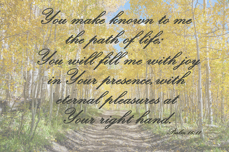 Psalm 16 11 Scripture and Picture Photograph by Ken Smith