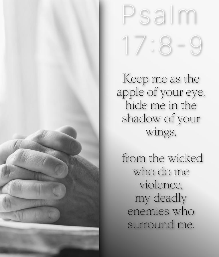 Psalm 17 8 9 Photograph By David Norman Fine Art America psalm-17-8-9-photograph-by-david-norman-fine-art-america