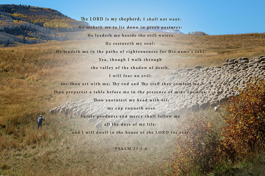 Psalm 23 Photograph by Mary Lee Dereske