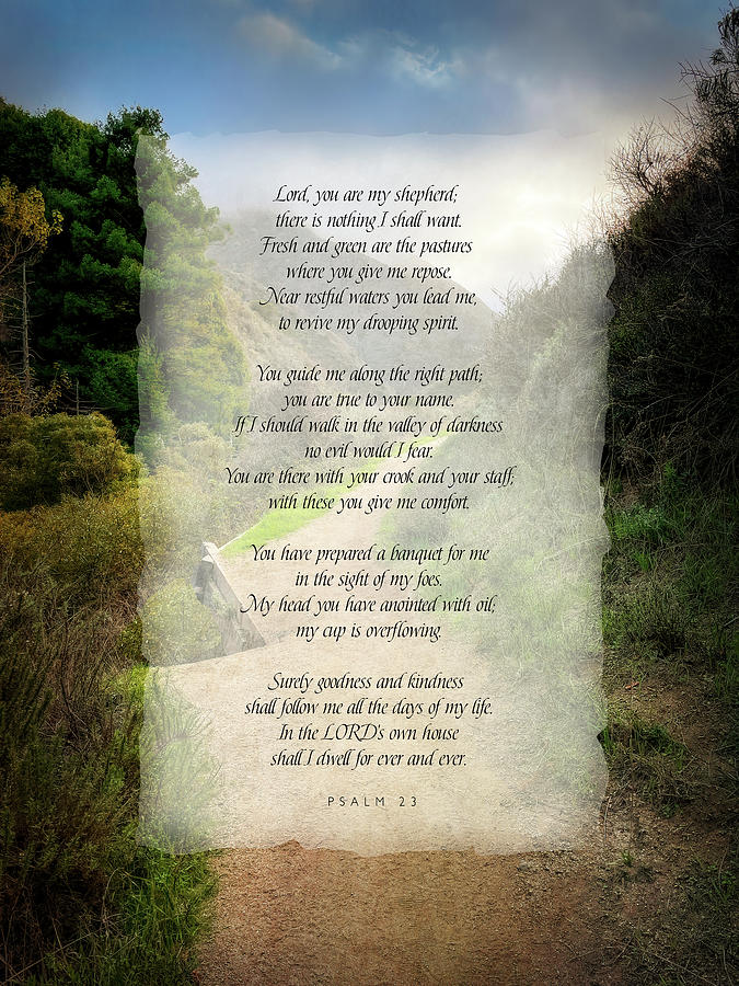 Psalm 23 Digital Art by Terry Davis