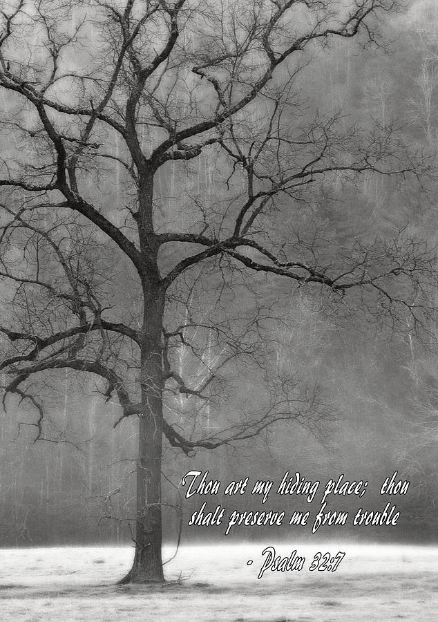 Psalm 32-7 Cataloochee Tree Photograph by Alice Scoggins - Fine Art America