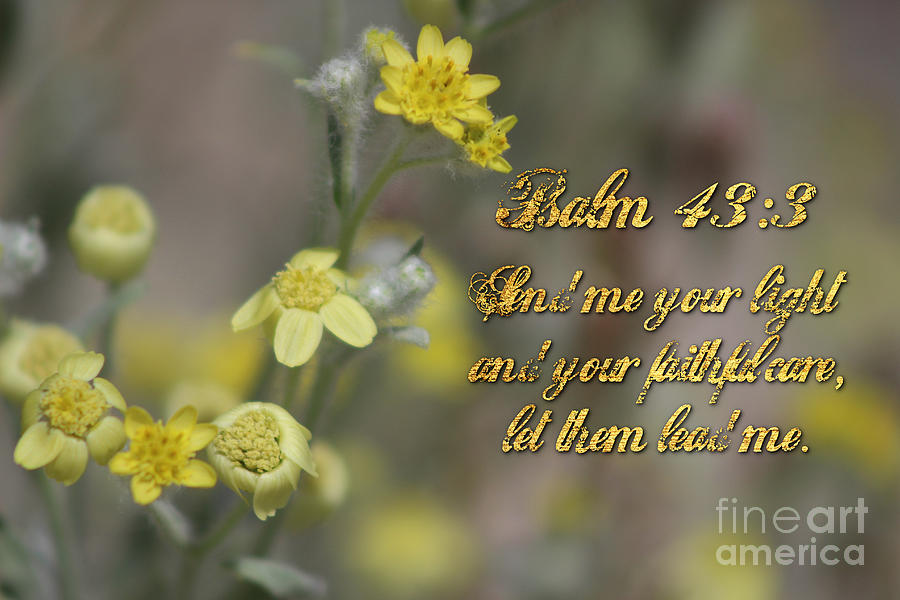 Psalm 43 3 Yellow Wildflowers Photograph by Colleen Cornelius