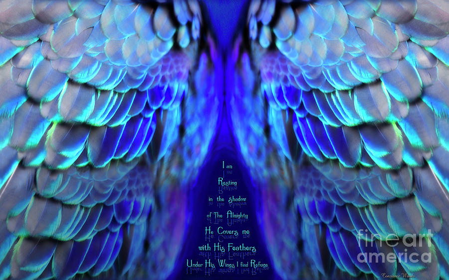 Psalm 91 Wings 3 Digital Art by Constance Woods