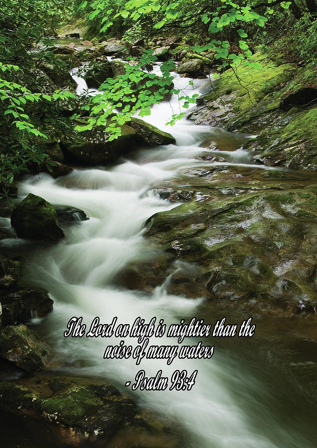 Psalm 93-4 Forest Cascade Photograph by Alice Scoggins - Pixels